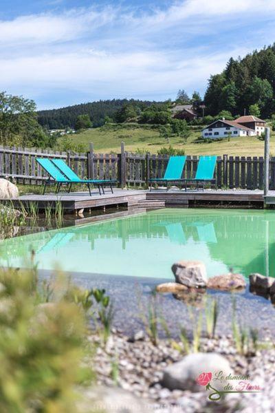 Le Domaine Des Fleurs - Appartement La Gentiane Gerardmer Luaran gambar